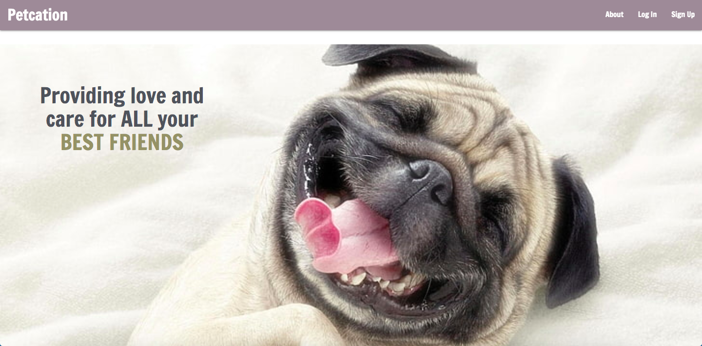 petcation screenshot